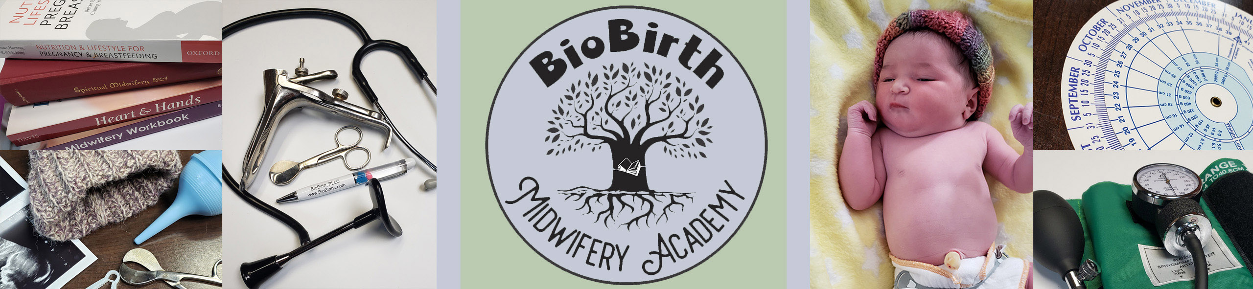 Bio Birth Midwifery Academy